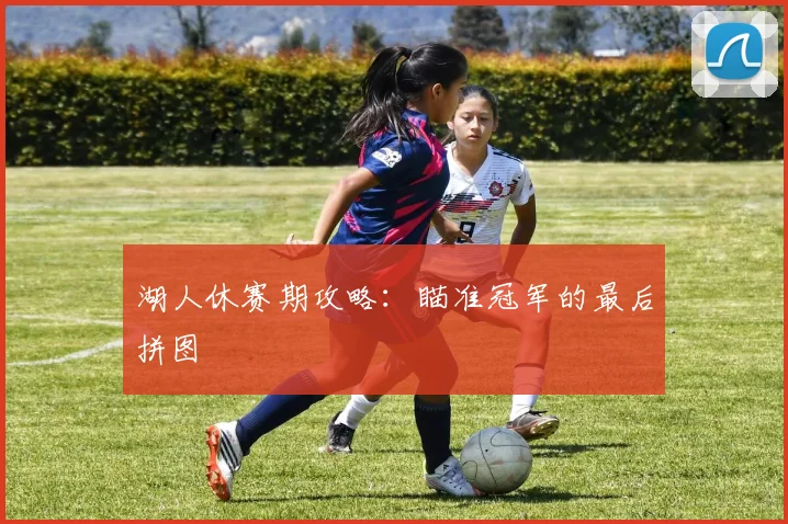 湖人休赛期攻略:瞄准冠军的最后拼图